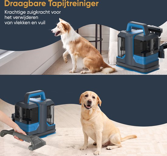 BOLLIT 750W Tapijtreiniger